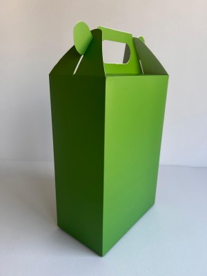IMG-20241206-WA0051