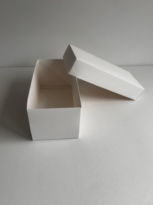 IMG-20241209-WA0004