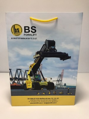 bs